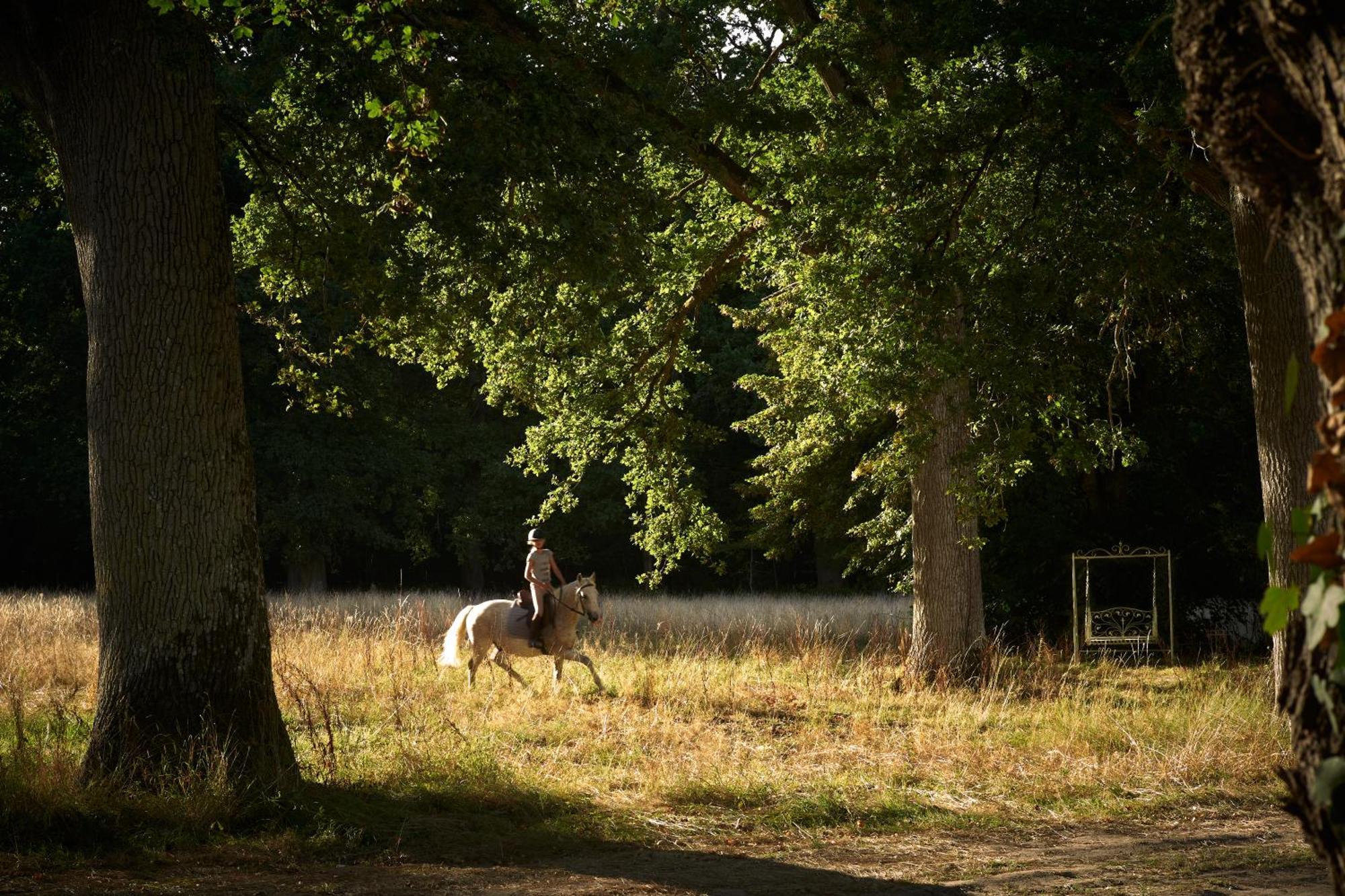 Les Sources De Cheverny Exteriér fotografie